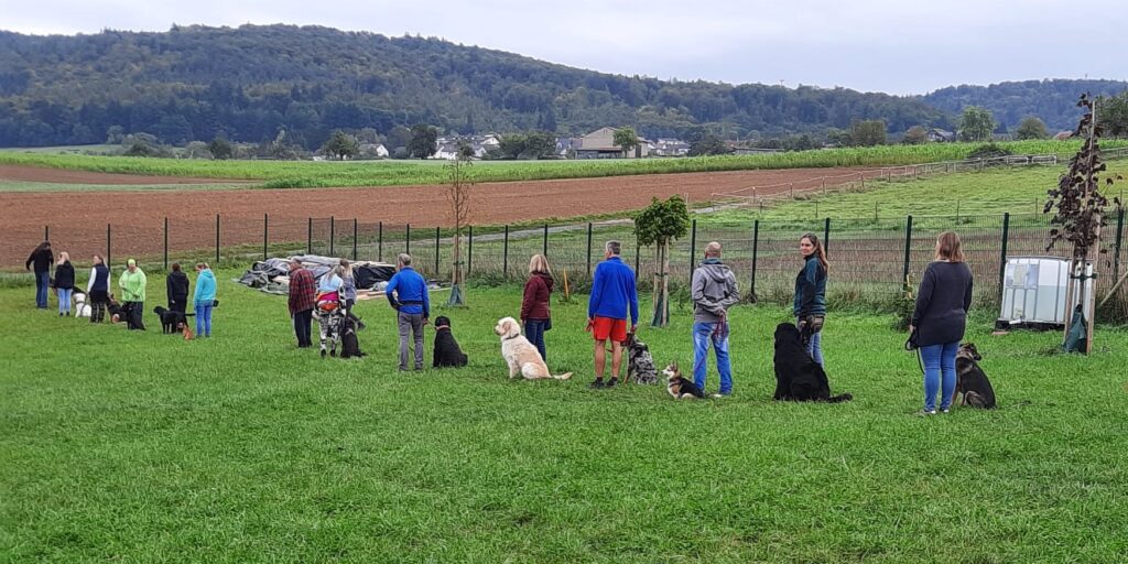 Samstagstraining Hundetraining im Mönchberg beim Verein "Hundefreunde Spessart e.V."
