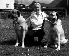 Gabi Störmer mit zwei Kangals